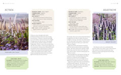 Alternative view 6 of Brilliant & Wild: A Garden from Scratch in a Year