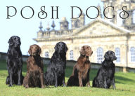 Title: Posh Dogs, Author: Pimpernel Press