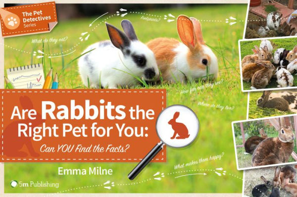 Are Rabbits the Right Pet for You: Can YOU find the Facts?