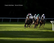 Title: A Year in the Frame, Author: Edward Whitaker