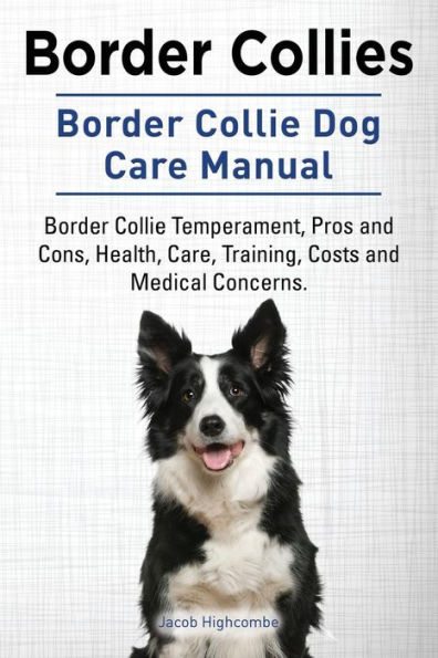 Border Collie: Character, Health, Feeding, Price, and Care