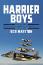 Harrier Boys: Volume 2 - New Technology, New Threats, New Tactics, 1990-2010