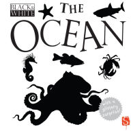 Title: Black & White: The Ocean, Author: David Stewart