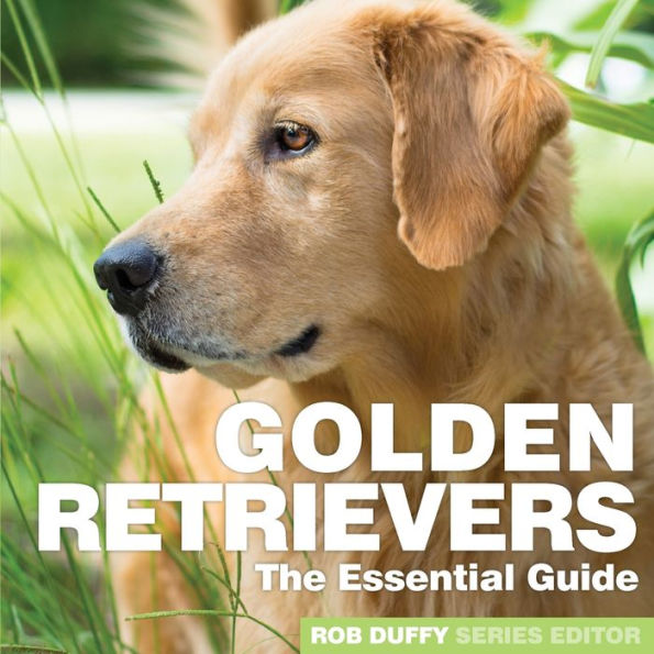 Golden Retrievers: The Essential Guide