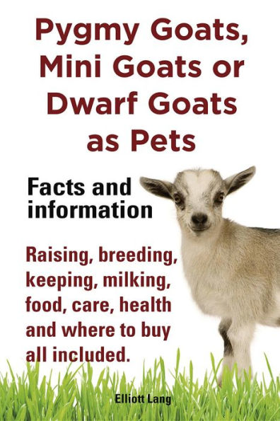 Pygmy Goats as Pets. Pygmy Goats, Mini Goats or Dwarf Goats: facts and information. Raising, breeding, keeping, milking, food, care, health.
