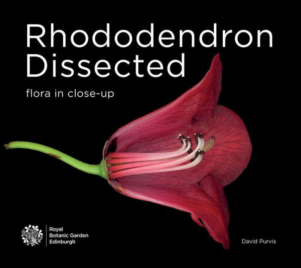 Rhododendron Dissected: Flora in Close-up