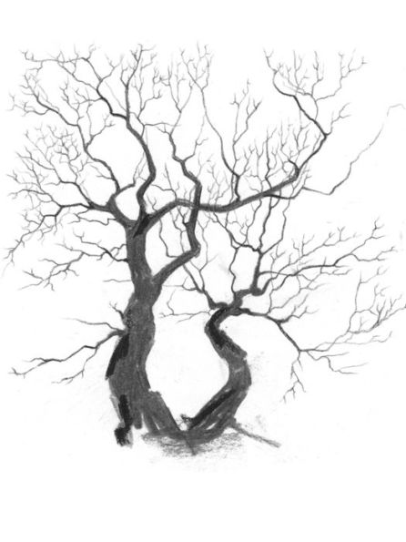 A Song to Keep: A Kinship of Poems and Drawings