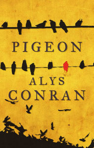 Title: Pigeon, Author: Alys Conran