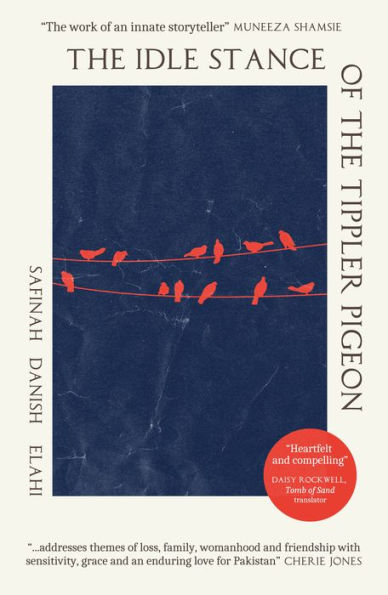 the Idle Stance of Tippler Pigeon