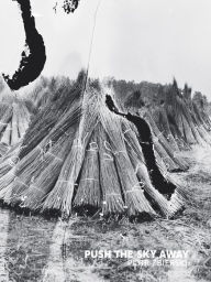 Title: Push The Sky Away, Author: Piotr Zbierski