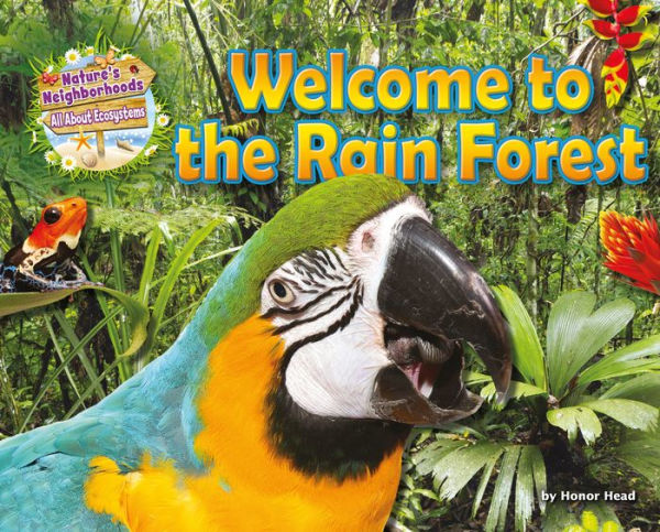 Welcome to the Rain Forest