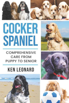 cocker spaniel care