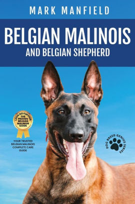 Belgian Malinois And Belgian Shepherd Belgian Malinois And Belgian Shepherd Bible Includes Belgian Malinois Training Belgian Sheepdog Puppies Belgian Tervuren Groenendael More By Mark Manfield Paperback Barnes Noble