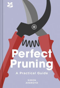 Title: Perfect Pruning: A Practical Guide, Author: Simon Akeroyd