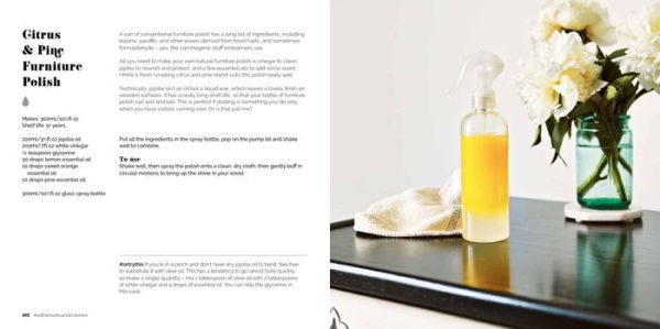 Fresh Clean Home: Make Your Own Natural Cleaning Products