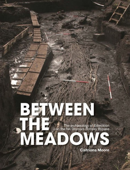 Between the Meadows: The Archaeology of Edercloon on the N4 Dromod-Roosky Bypass