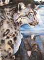 Alternative view 2 of The Snow Leopard