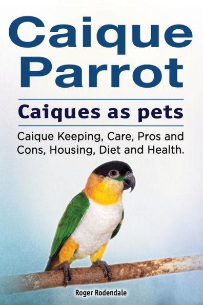 Caique parrot. Caiques as pets. Keeping, Care, Pros and Cons, Housing, Diet Health.