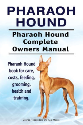 Ibizan Hound: Buy Ibizan Hound Online at Low Price in India on Snapdeal