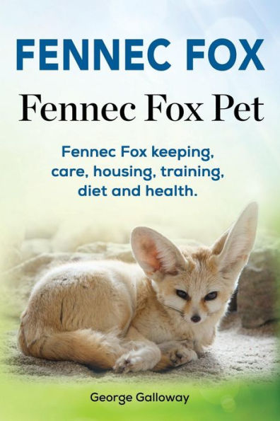 Fennec fox deals pet care