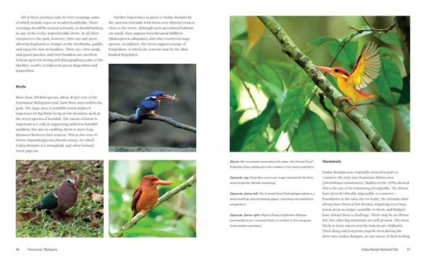 Wild Malaysia: The Wildlife, Scenery, and Biodiversity of Peninsular Malaysia, Sabah, and Sarawak