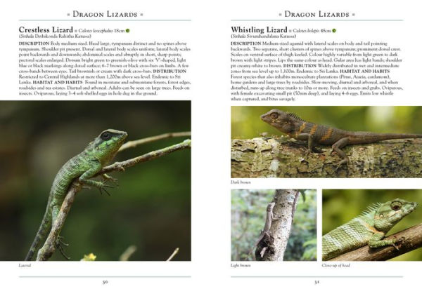 A Naturalist's Guide to the Reptiles of Sri Lanka