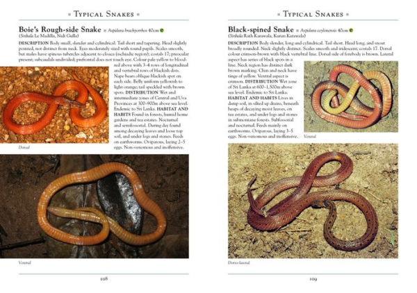 A Naturalist's Guide to the Reptiles of Sri Lanka