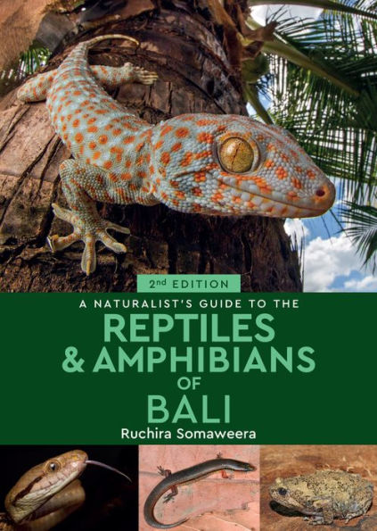 A Naturalist's Guide to the Reptiles & Amphibians of Bali
