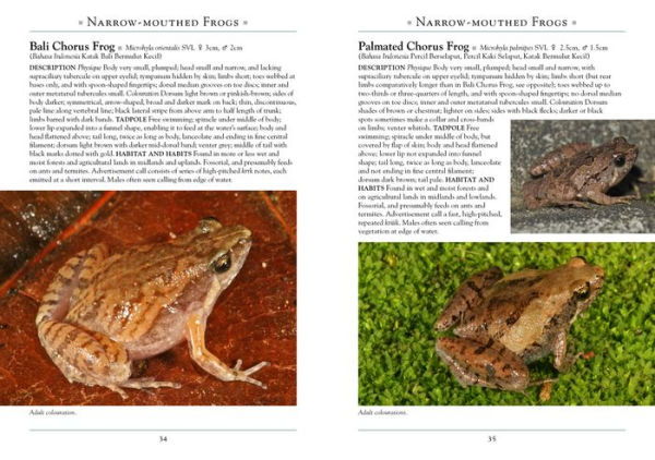 A Naturalist's Guide to the Reptiles & Amphibians of Bali