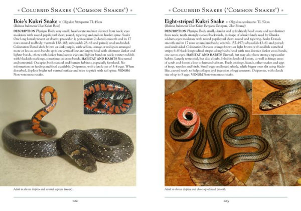 A Naturalist's Guide to the Reptiles & Amphibians of Bali