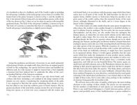 Alternative view 4 of The Voyage of the Beagle