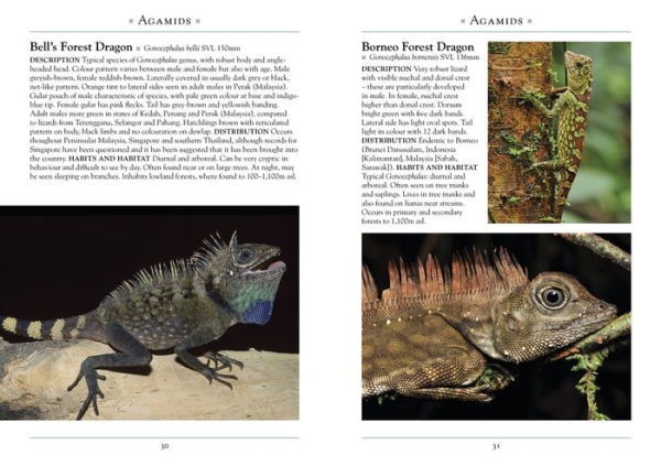 A Naturalist's Guide to the Lizards of Southeast Asia