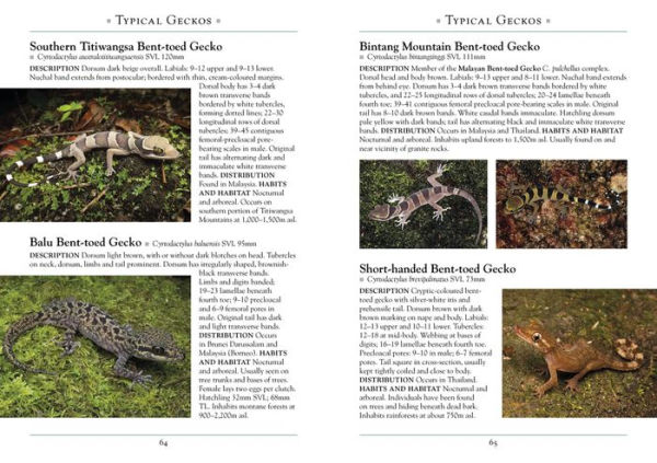 A Naturalist's Guide to the Lizards of Southeast Asia
