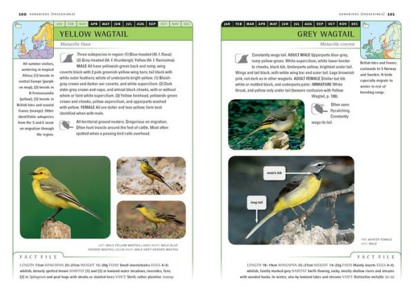 Identification Guide to Birds of Britain & Northern Europe