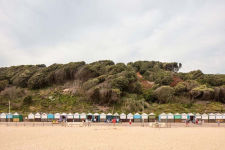 Alternative view 2 of Will Scott: Seaside Shelters