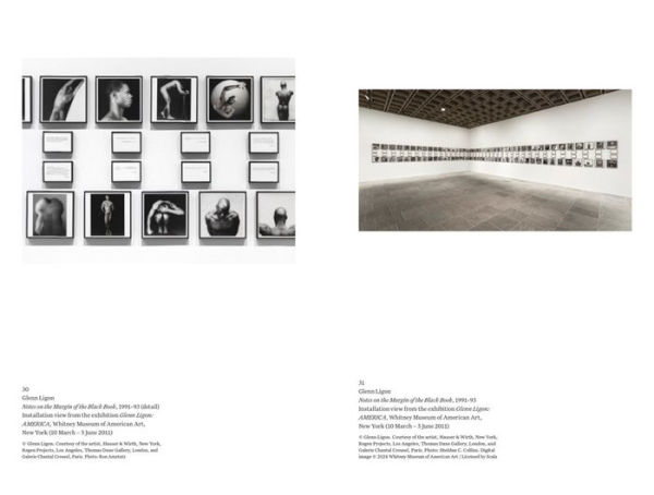 Focal Points: Between a Rock and a Hard Place: Race and Representation in the American Citadel of Modern Art