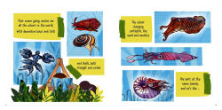 Alternative view 2 of Invertebrates are Cool!