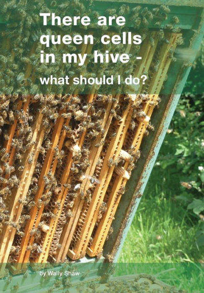 There are queen cells in my hive: - what should I do?