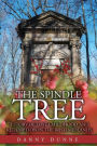 The Spindle Tree: A story of lost childhood and redemption in the Irish Midlands