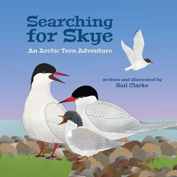 Searching for Skye: An Arctic Tern Adventure