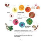 Alternative view 9 of Creative Nature Play: Imaginative crafting, games, stories and adventures