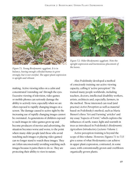 Biodynamic Farming Handbook: Activating soil fertility for growing healthy food