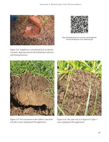 Biodynamic Farming Handbook: Activating soil fertility for growing healthy food