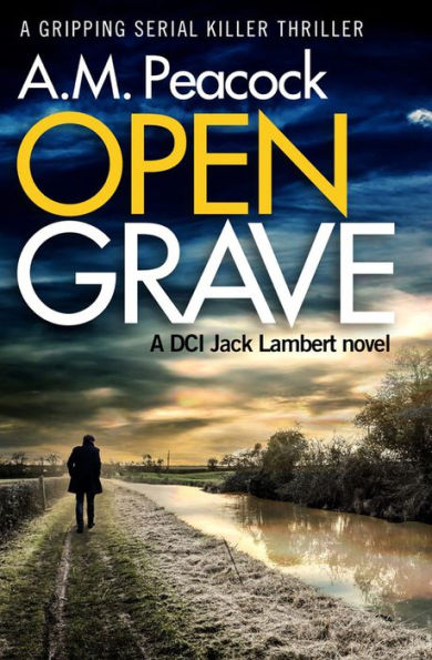 Open Grave: A Gripping Serial Killer Thriller