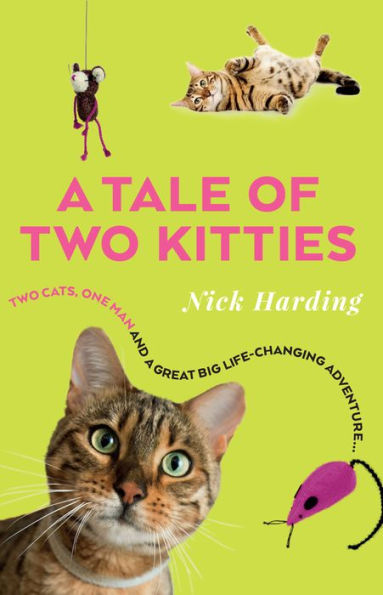 A Tale of Two Kitties