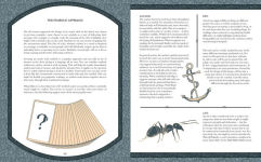 Alternative view 6 of The Oracle Creator: The Modern Guide to Creating an Oracle or Tarot Deck