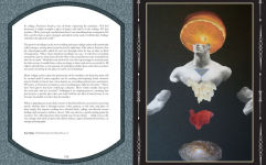 Alternative view 8 of The Oracle Creator: The Modern Guide to Creating an Oracle or Tarot Deck