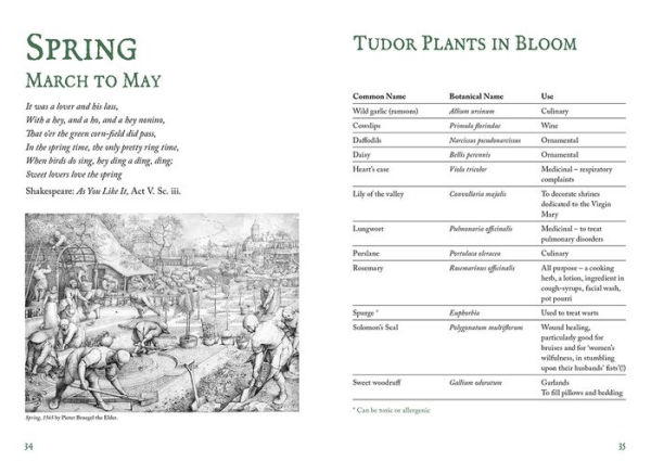 Tudor Book of the Garden