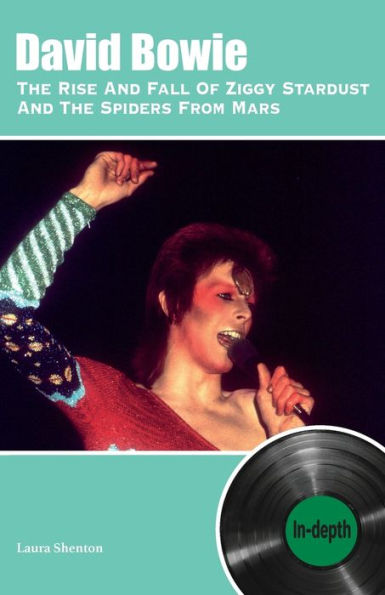 David Bowie The Rise And Fall Of Ziggy Stardust And The Spiders From Mars: In-depth