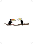 Alternative view 3 of The Secret Lives of Animals